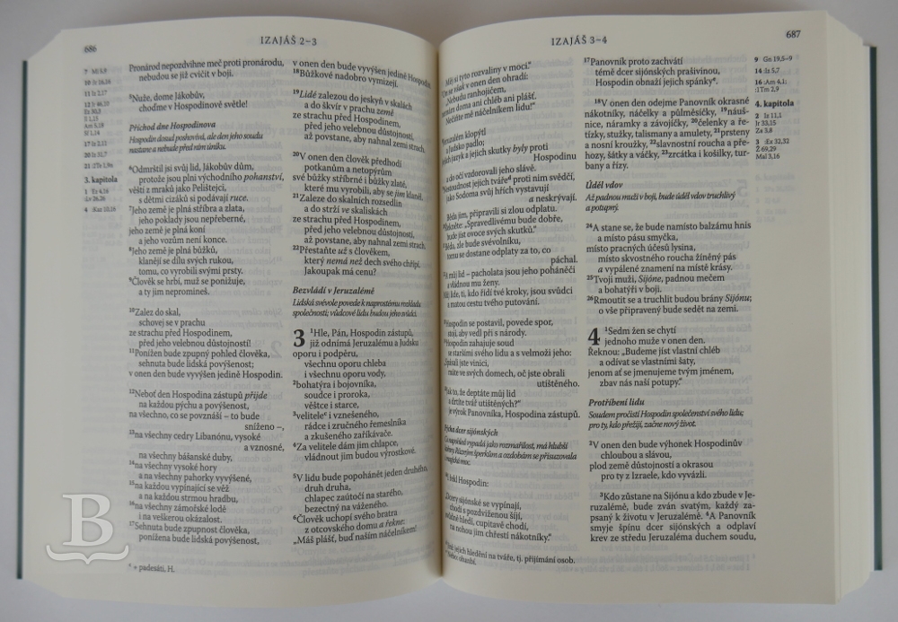 Biblia česká, ekumenický preklad, s DT, vreckový formát, šedá so zlatou
