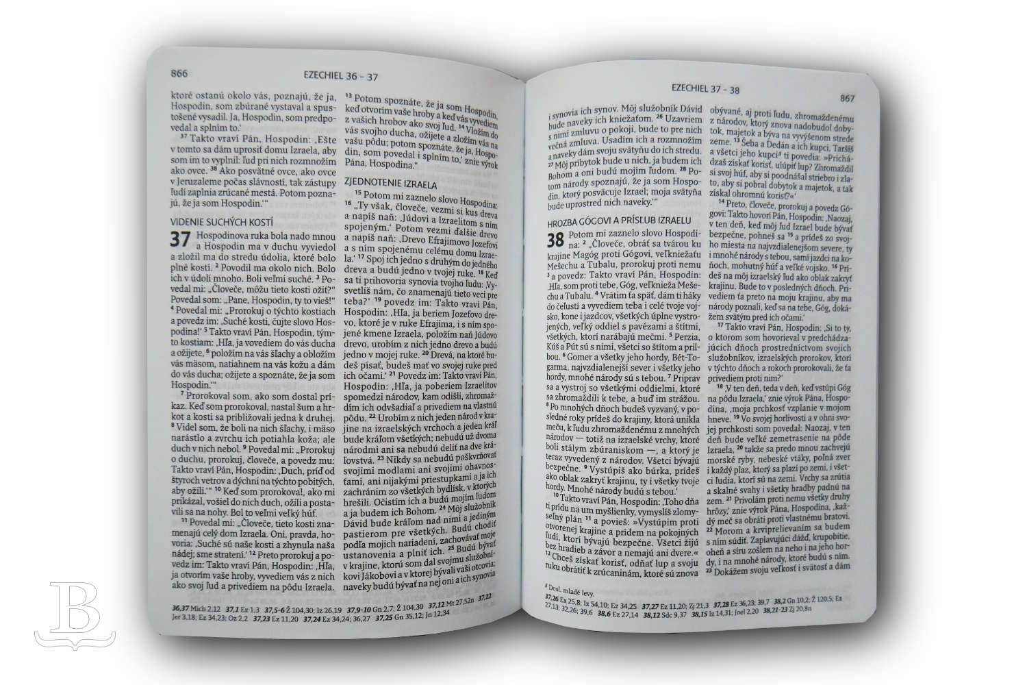 Biblia slovenská, ekumenický preklad s DT, vreckový formát, sivá, 2018