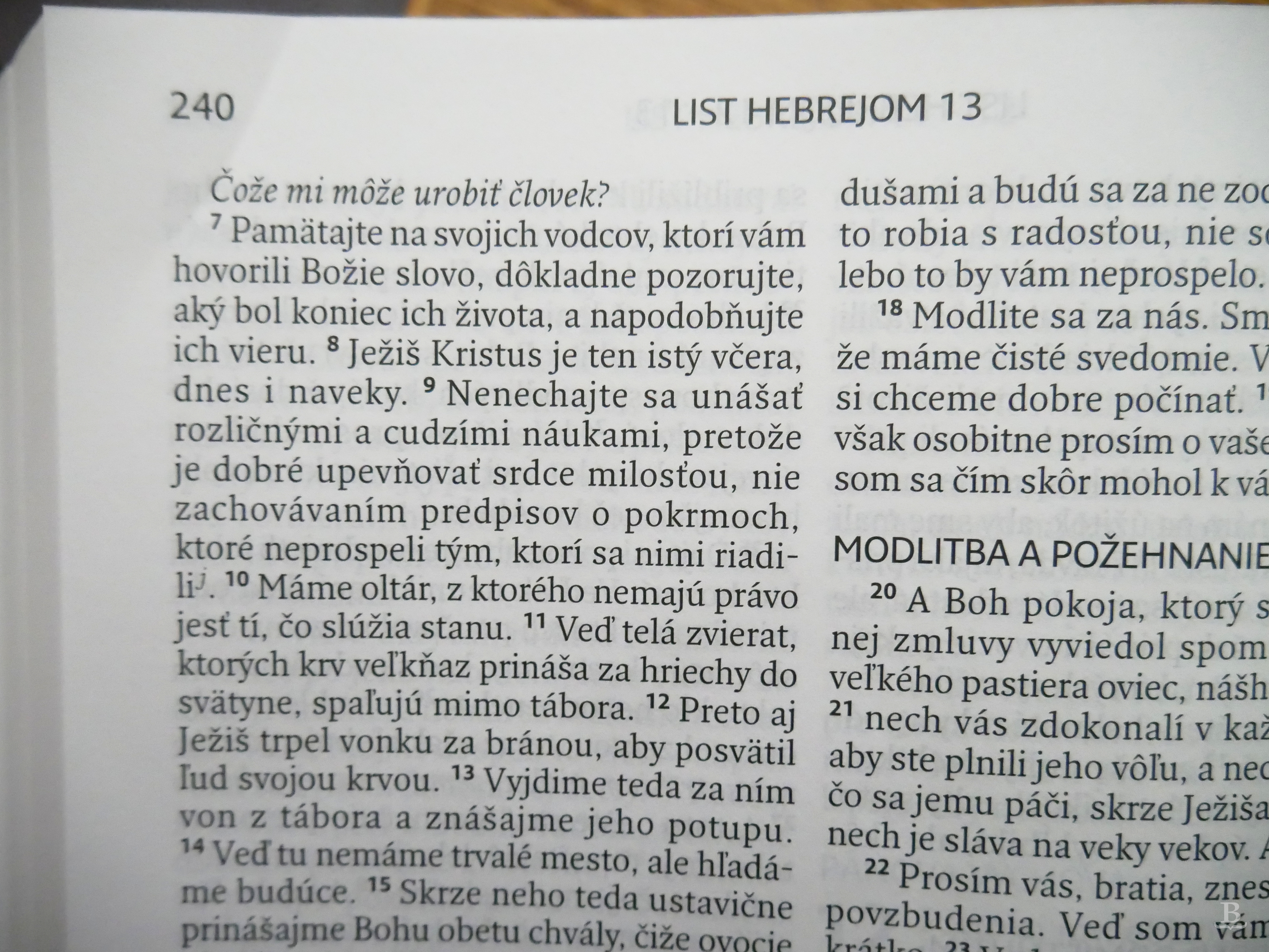 Biblia slovenská, ekumenický preklad, rodinný formát, koža