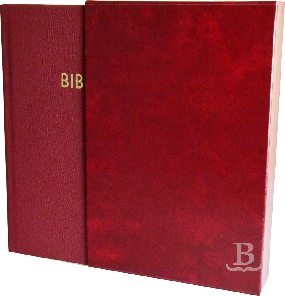 Biblia slovenská, ekumenický preklad, rodinný formát, koža