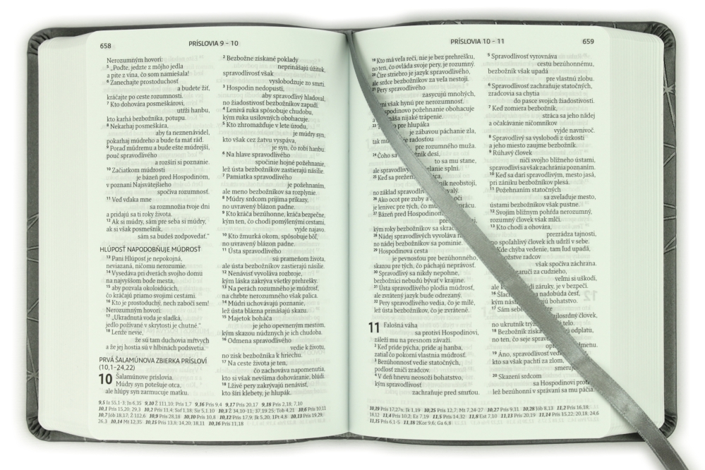 Biblia, ekumenický preklad, edícia SLOVO, 2020, vreckový formát, sivá
