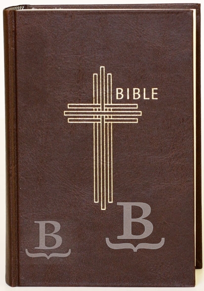 Biblia česká, ekumenický preklad, s DT knihami, hnedá farba Z25
