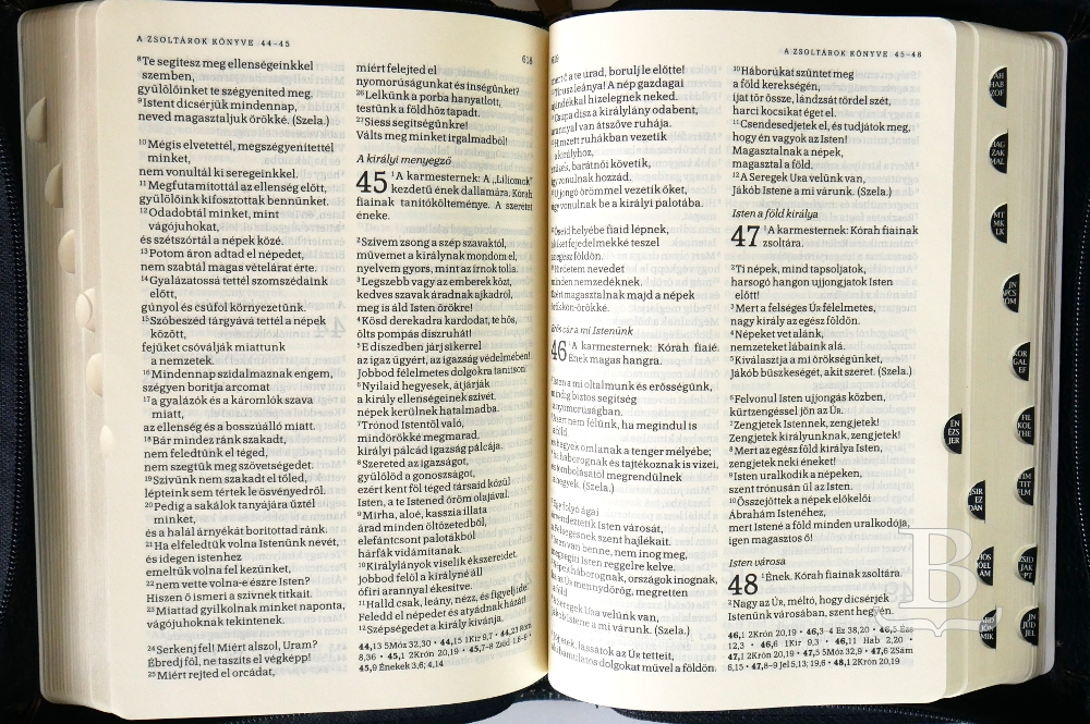 Biblia, maďarská, revidovaný preklad (2014), zips, koža