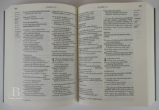 Biblia česká, ekumenický preklad, s DT, vreckový formát, šedá so zlatou