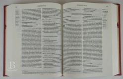 Biblia česká, ekumenický preklad, s DT, umelá koža, červená, veľký formát