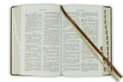Biblia, Roháčkov preklad, 2020, tmavohnedá, pevná väzba, s indexmi