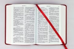 Biblia, Roháčkov preklad, 2020, vreckový formát, červená