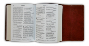 Biblia, ekumenický preklad, edícia SLOVO, 2020, vreckový formát, hnedá, s magnetom
