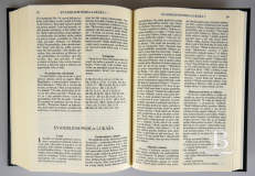 Biblia,ECAV,š.f,p.v,ekokoža hnedá s ornamentom a zlatým nápisom