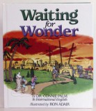 Waiting for Wonder