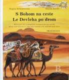 S Bohom na ceste, rómsko-slovenská Biblia